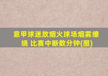 意甲球迷放烟火球场烟雾缭绕 比赛中断数分钟(图)